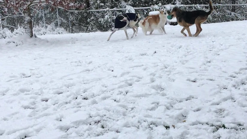 Thyme & Teona snow time